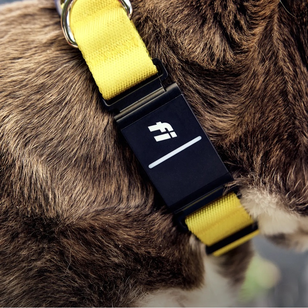 Fi Series 3+ Module Tracker